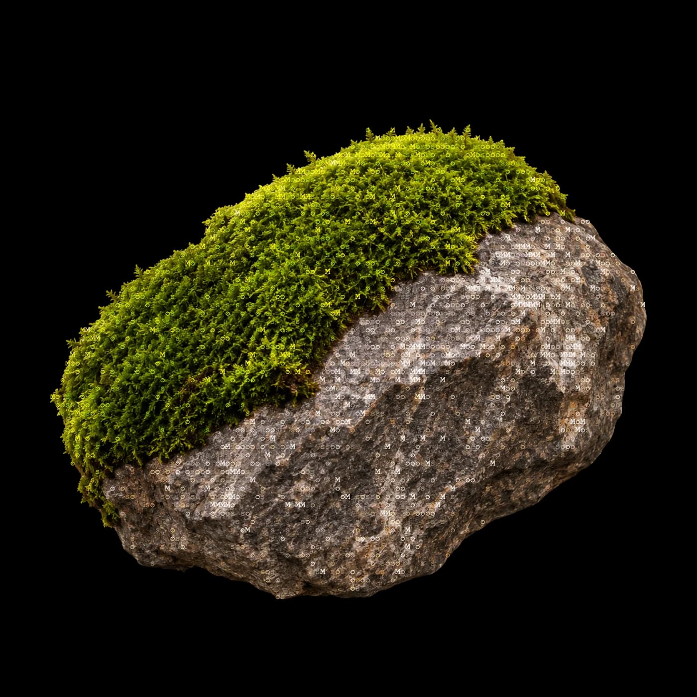 A rock with moss growing on top of it